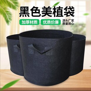 �o�����Nֲ���߲�ֲ���������L������ֲ��������Nֲ�軨�ܷNֲ��