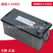 12V200Ah骆驼蓄电池 CCS船检电瓶 照明用免维护铅酸电池6-CQW-200