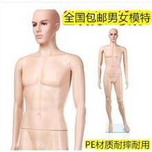 ���b����Ůʿȫ��ģ��PE��������ģ�ͻ鼆�·��Ĕzչʾ�������l