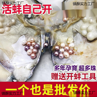 �Ӱ��������l������Լ��r�ˮ��������_��ȡ������ն���