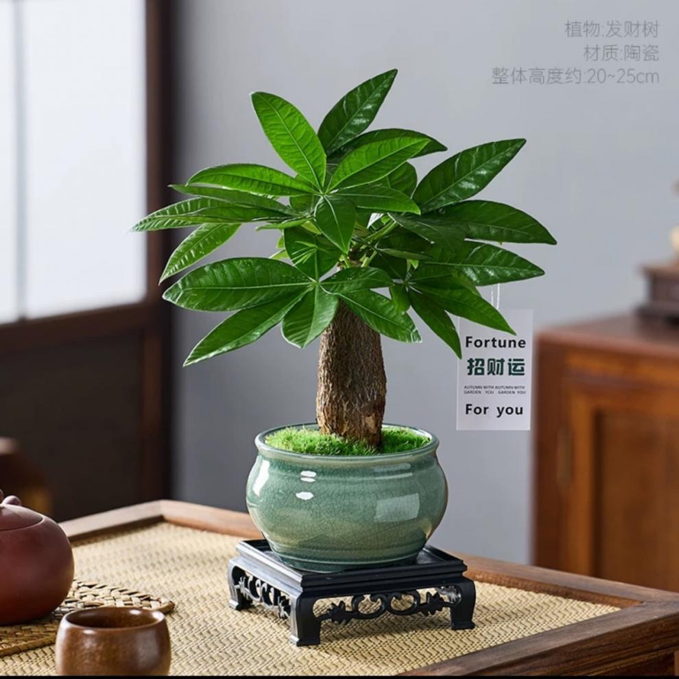 809522ff-4d98-471b-b323-048aa9f2a9ff.jpe