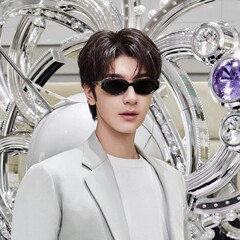 Lin Yidan Yichun の同じスタイルの GM キャットアイ サングラス メタルテンプル クンズ ファッション インターネット セレブ アンチ UV サングラス