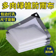 �羳���겼��ˮ͸���Ӻ����ֻ��ܴ�̨ͥԺ������������ꖾW��