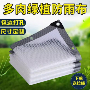 �羳���겼��ˮ͸���Ӻ����ֻ��ܴ�̨ͥԺ������������ꖾW��
