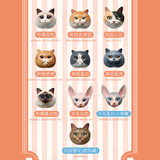 Iades с игрой, чашка для головы кошки, трехмерная кошка Цзянсианская слепая слепа