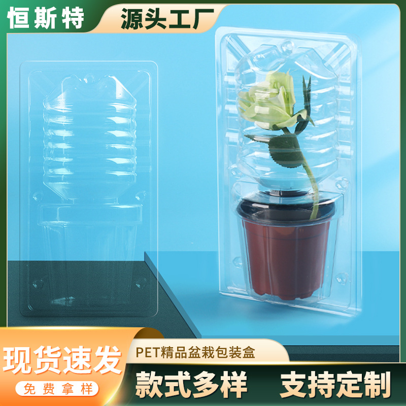 Caja de embalaje de plantas verdes de flores personalizadas, caja de transporte expreso de plántulas de flores, caja de protección de transporte de plántulas de plantas en maceta, ampolla de plástico