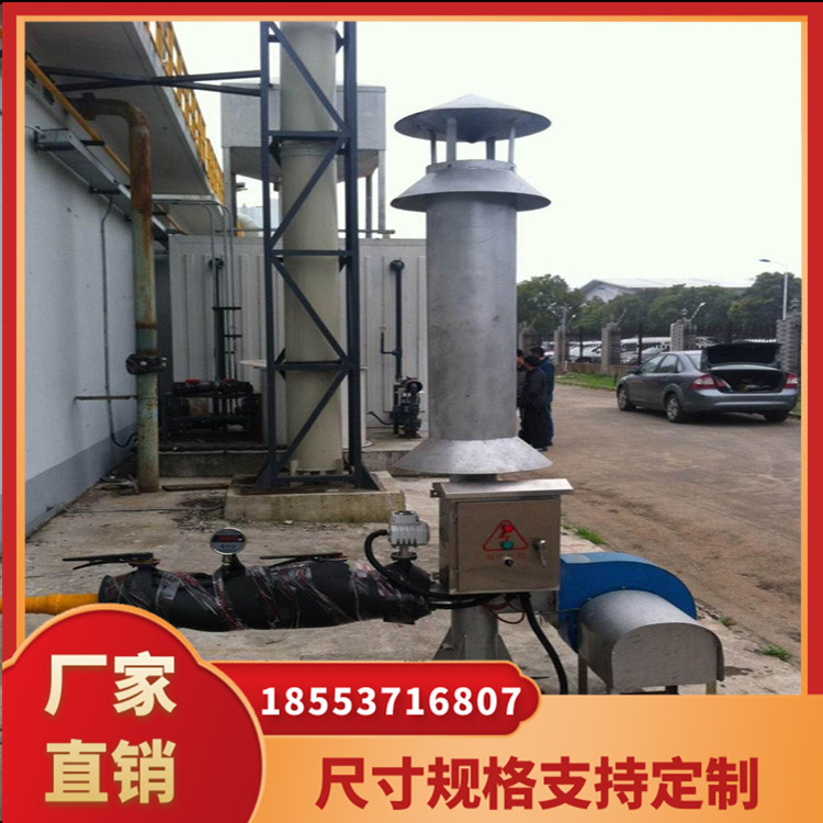 20-50立方沼气小型火炬价格 20立方简易火炬厂家报价