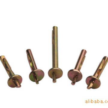 厂家专业供应优质插片壁虎 车修壁虎 内迫膨胀螺丝 插片膨胀