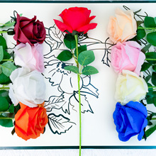 ���滨�¿���^õ�廨��c�û��ٻ������߼��н����b�ܛ�b��ˇ