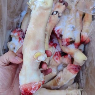 ���r�F�������r�Ҹ�����ɽ��d�������_��������������l��������