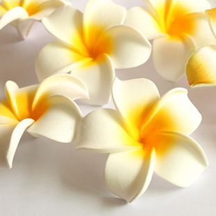 4/6/8/11CM�u���� �n���^��ְl�AEVA�����Ļ�߅�AӾ�b�����ĭ��