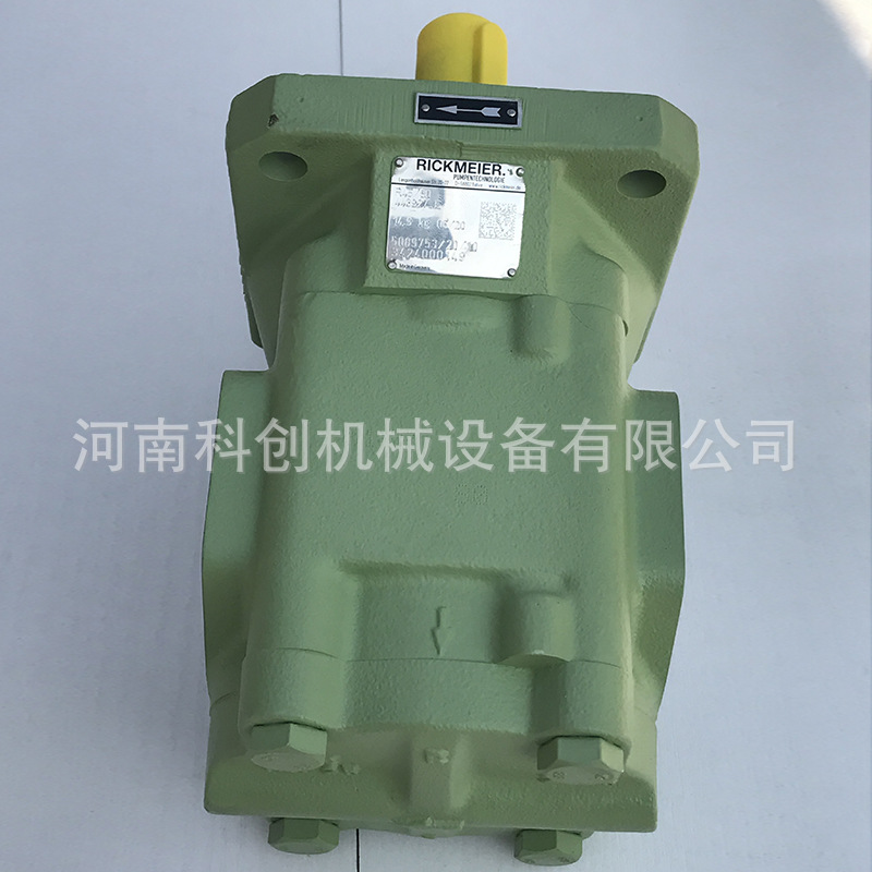 分离器润滑油泵R25/20FL-Z-DB-P齿轮油泵含电机