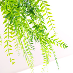 仿真垂掛裝飾綠植垂吊波斯葉金魚草天文冬壁掛吊頂造景新款塑料草