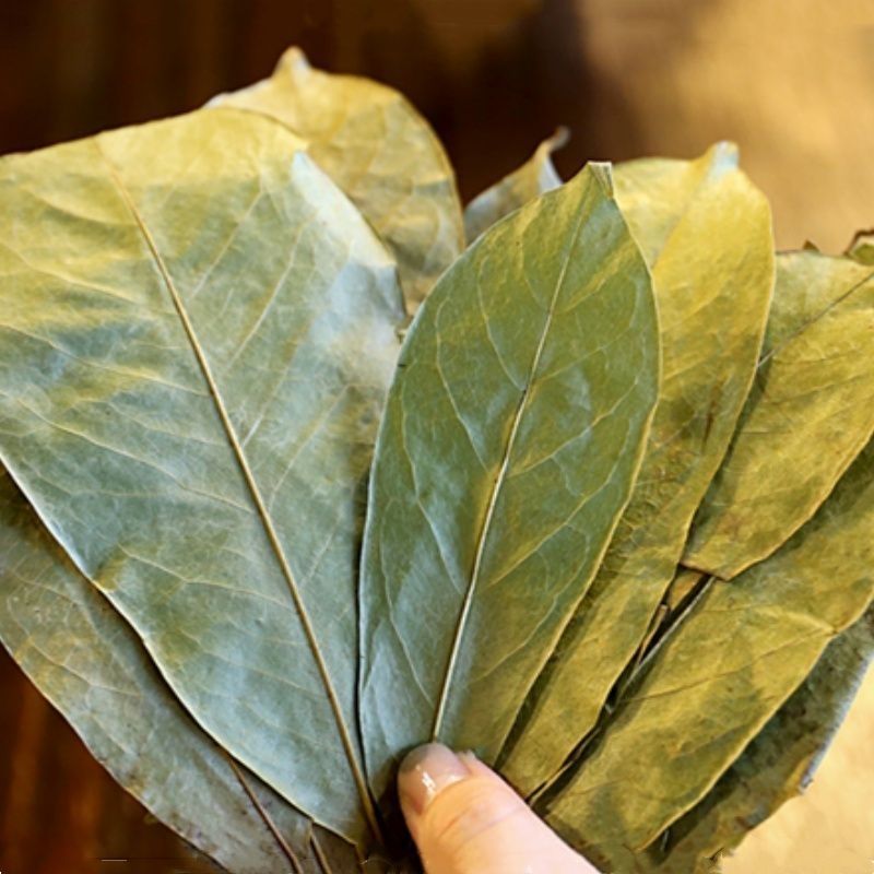 Whole Dried Soursop Leaves 120g Bag Freeze Dried Herbal Tea Leaves for Daily Infusions quality and texture