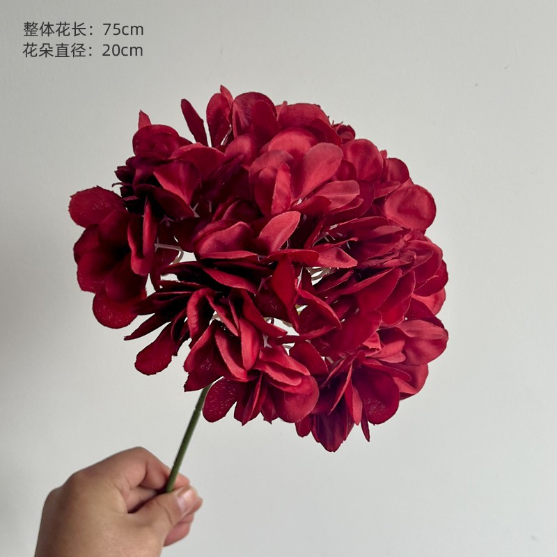 红色面包绣球.jpg