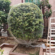 防鳥網防護網果樹罩網家庭防鳥用的網果園尼龍網防護罩葡萄蔬菜