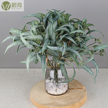 �羳������ֲ�������ȼ���Ҷ���� �Ҿ�װ����Ӱ����Ҷ������Ҷ