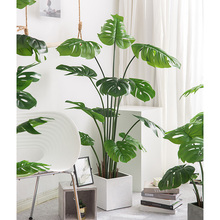 ���Wins�L�Gֲֲ���쾰�����~������Կ͏d�҃��b[��