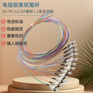 Carrier-Grade 12-Core Pigtail Jumper Sc/Fc/Lc Single-Mode Multi-Mode Gigabit Fiber Optic Jumper Pigtail
