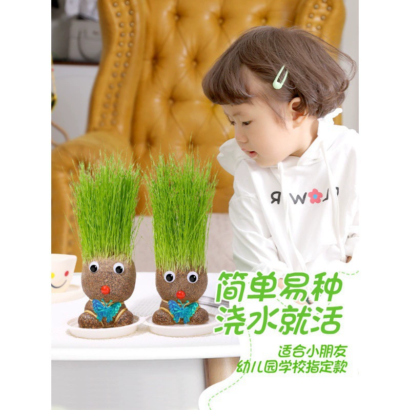 Детские горшечные растения с травой на голове, травянистые головы, цветение, посадка маленьких горшечных растений, зеленые растения, наблюдение за ростом растений, детский сад