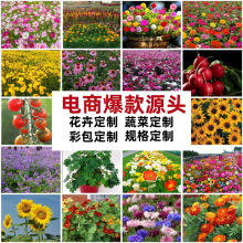 �羳͸��С���b�ǹ����N�Ӳݻ��߲˻��ܷ�ڃ�ͯ�YƷٛ�͌W�����