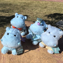 ä�����k�ɐ����������ë�q����С�����ͨ�ֺ߽��R��ż�������