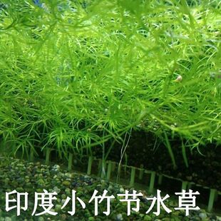 ˮ��ӡ��С�񹝲����ֺ��B�ͻ����ˮ���~���b��쾰����ˮ�|