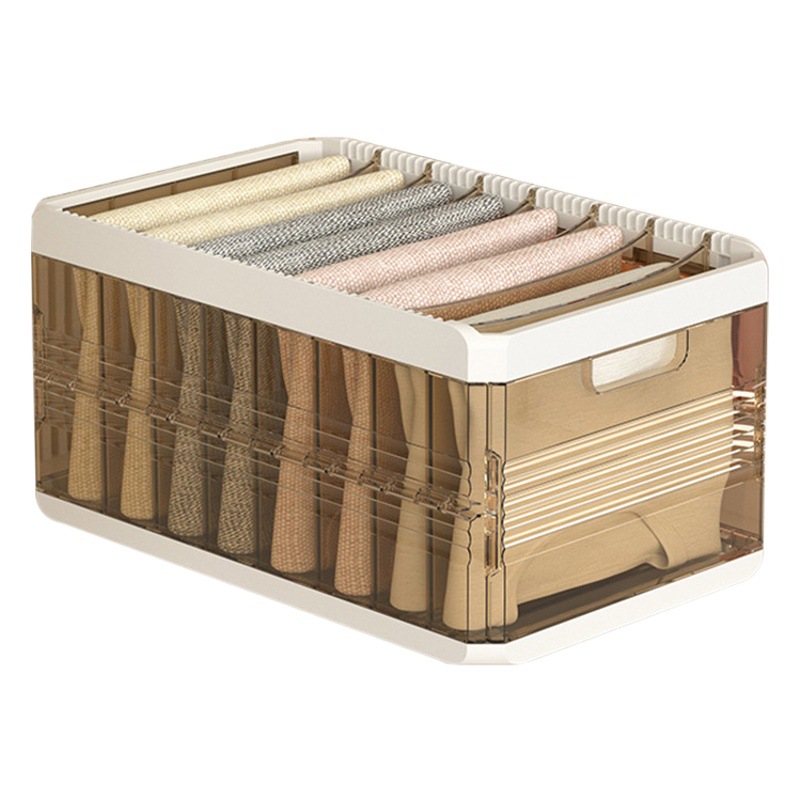 Golden Cat Ropa y pantalones caja de almacenamiento en capas artefacto cajón caja del compartimiento de la Casa Organizador armario en capas cesta