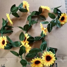 ̫ꖻ朗l{bGֲ տٗl ٻܵb