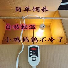 С�u�����䱣���Ԅӿ����Ԅӿ؜؜ض��g�����rС�B�r�B��������