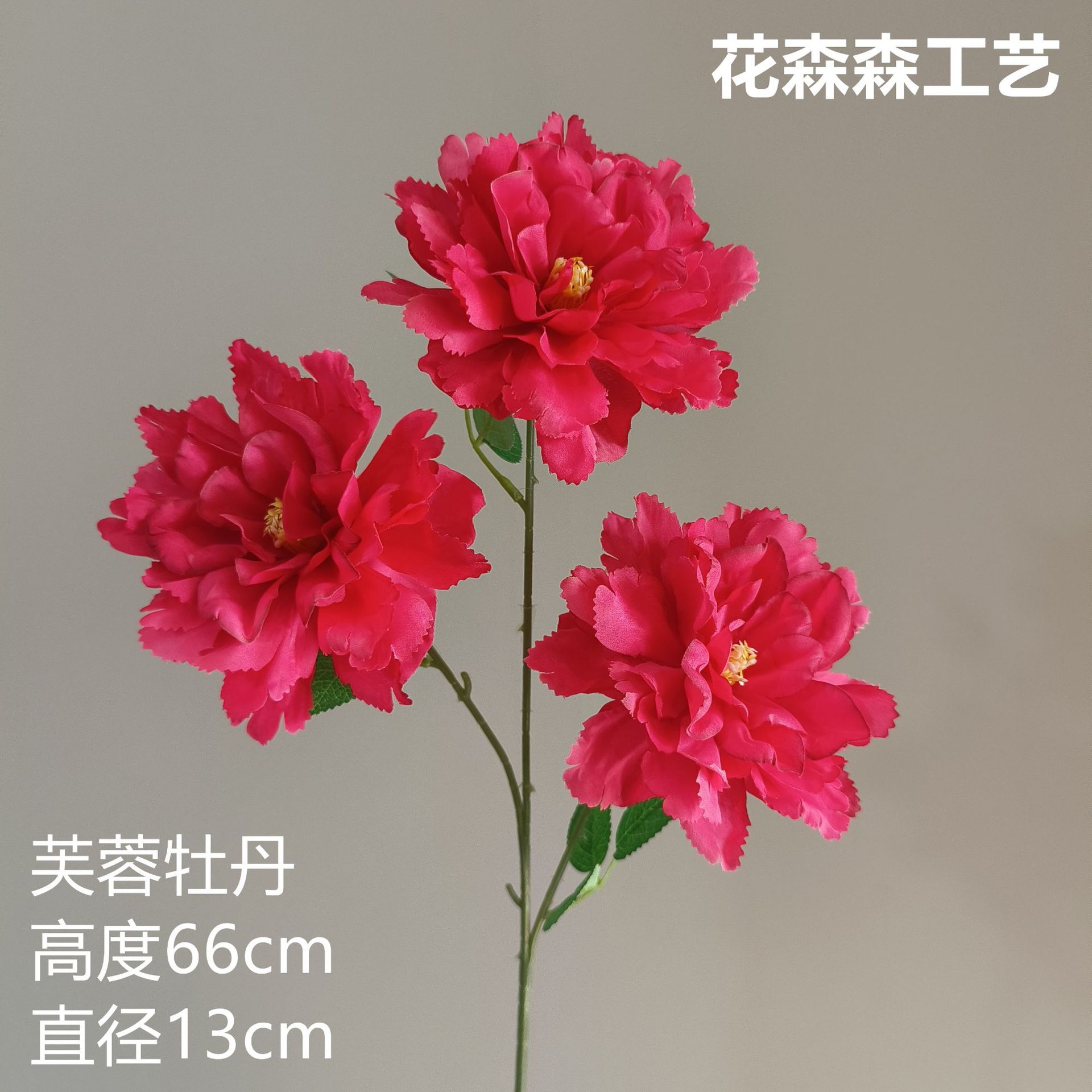 히비스커스 모란 132717