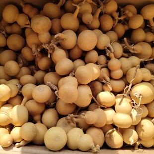 С�������J���ֺ��J�p΢覴ú��J����С���J�S�C�l؛���˓Q