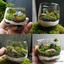 苔藓直筒瓶微景观生态瓶青苔创意植物DIY办公室桌面减压小盆栽