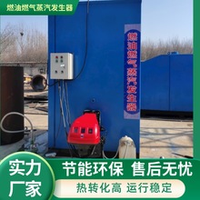 服装干洗烫熨立式燃油燃气蒸汽发生器 食品厂蒸煮导热油炉