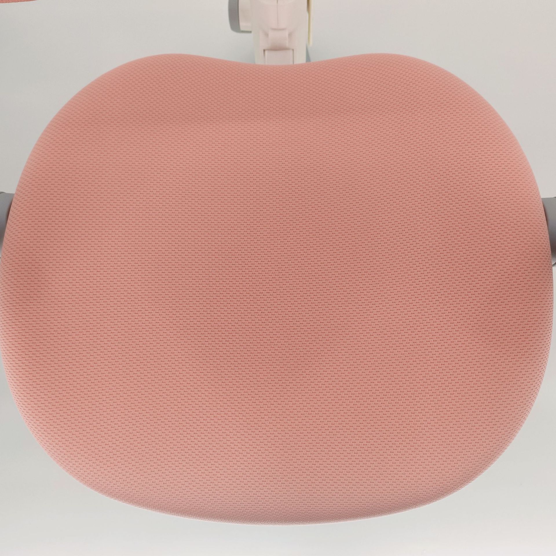 【버즈아이 패턴】마카롱 파우더