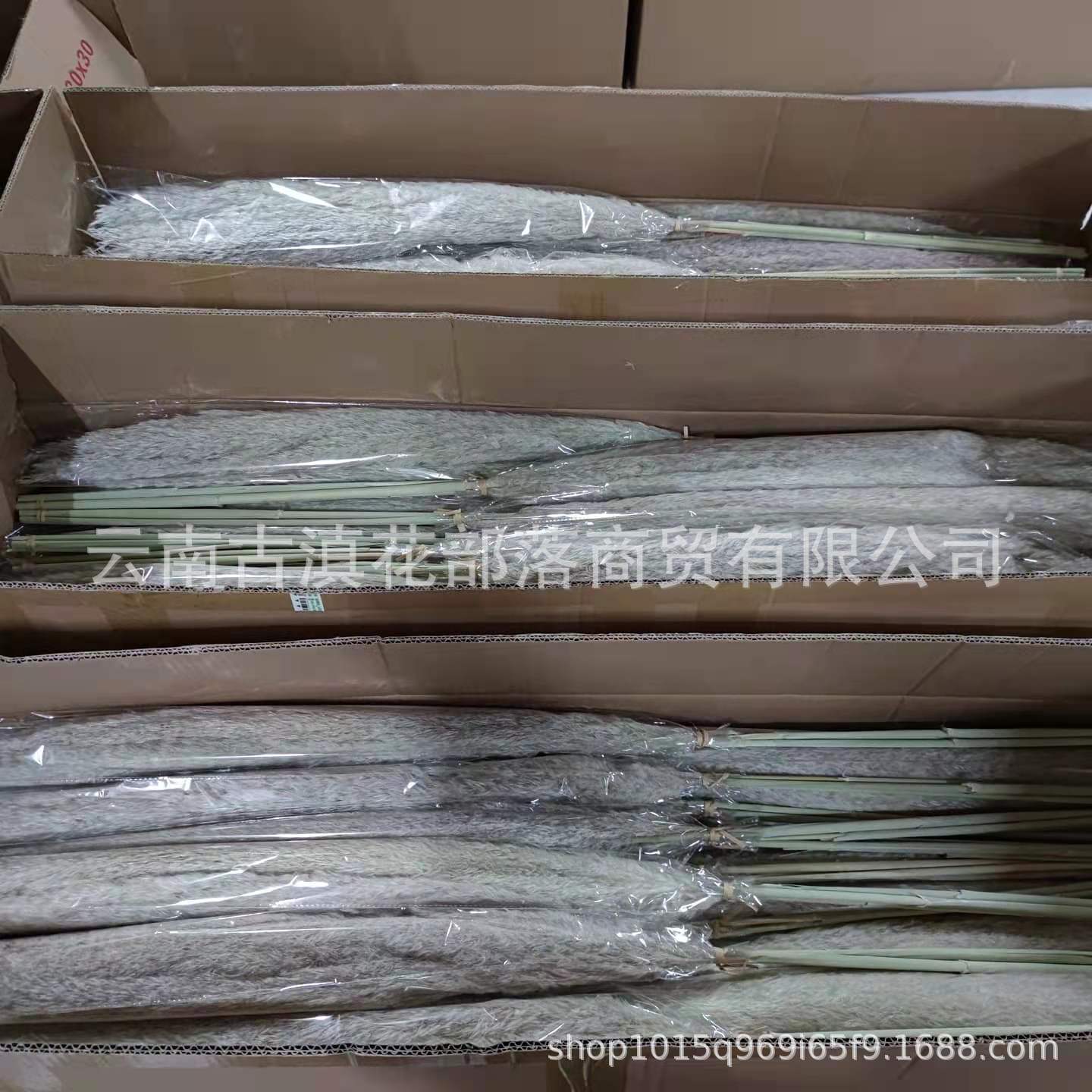 c71566c25e09cfcdf52da08a38335a