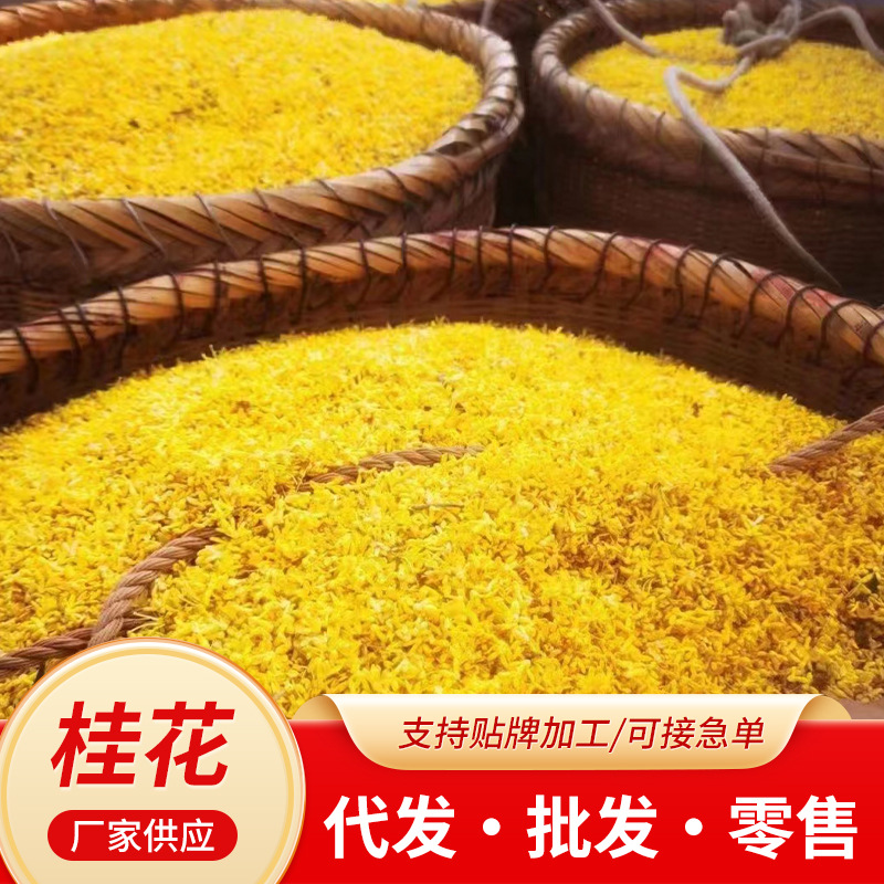 特级花茶新货桂花茶干桂花广西桂林桂花干散装批发现货微波桂花干