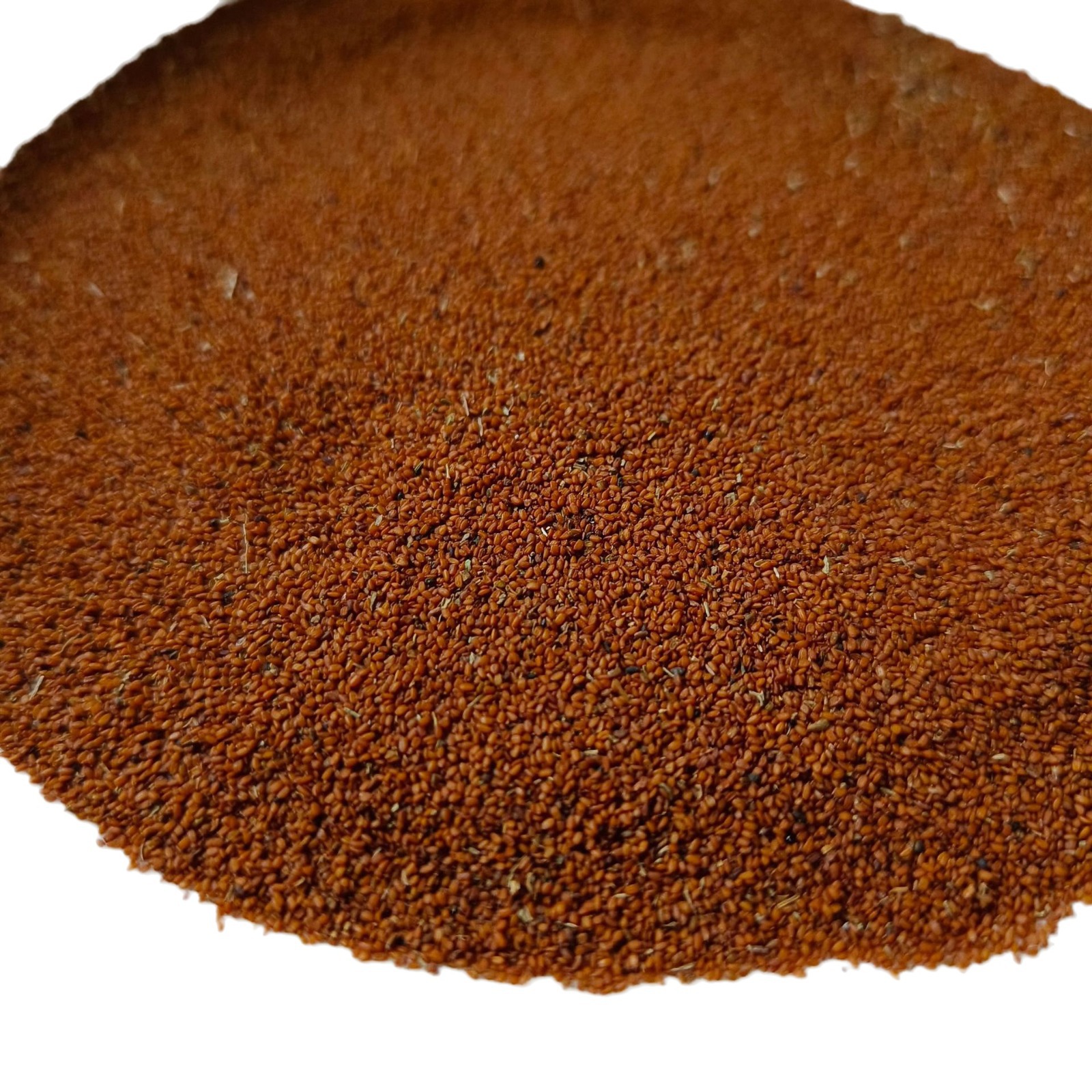 2023-11-17 15:29:53.jpg