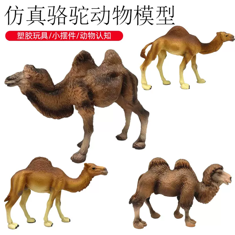 儿童启蒙认知仿真野生动物摆件跨境沙漠骆驼塑胶玩具实心手办模型
