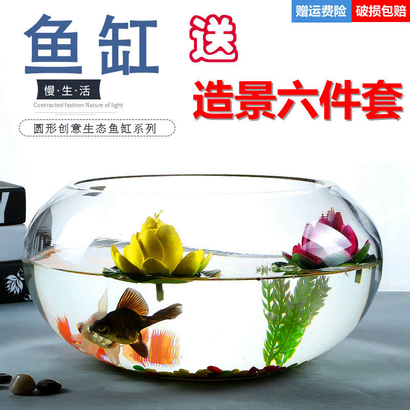 originality small-scale fish tank a living room household Mini Glass Watch desktop desk circular Turtle tank Independent