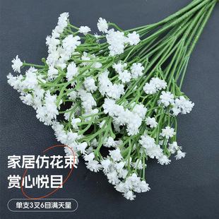 ���滨�M����ins���滨�ٻ������������[���L⏼Ҿӿ͏d�����b�