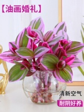 �ͮ���Y���mˮ��ֲ���ǃ������k��������Gֲ������¶�m�ļ����B