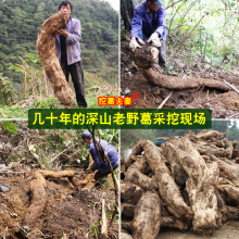 挖葛夫妻葛根粉野生葛饼张家界天然葛粉农家柴葛粉旗舰店