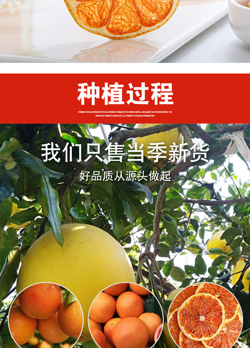 Dried Grapefruit Slices (Citrus × paradisi) — Cold-Brew Fruit Tea & Herbal Infusion in use