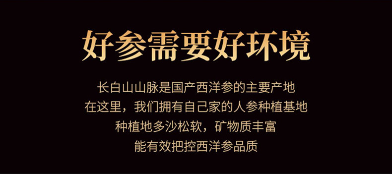 American Ginseng Slices Xi Yang Shen 500g Dried Root Slices for Tea and Cooking quality and texture