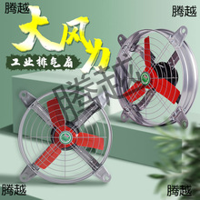 �Ś��ȳ��L�C�������I�������o�����L�ȓQ����ُN��ͨ�L�Bֳ��