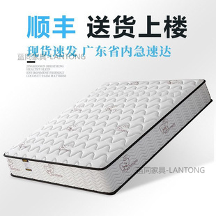 ϯ��˼���|��������ܛ�|��20cm��������ӲҬ�����z1.5���ⷿ����