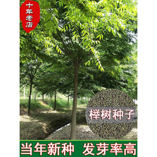 �²əΘ�N��С�~�Ә�t�δ��~���ι��ΰי�Ѫ�δ��~�Ә���ľ�N��