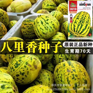 ��������ϷN���۹���ϷN��ˮ���N��ԭ�b�ļ��߲˷N�Ӵ�ȫ�˷N��