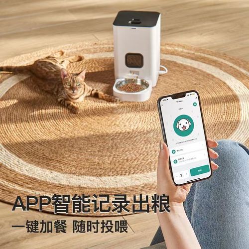 Square Smart Feeder Amazon Pet Feeder